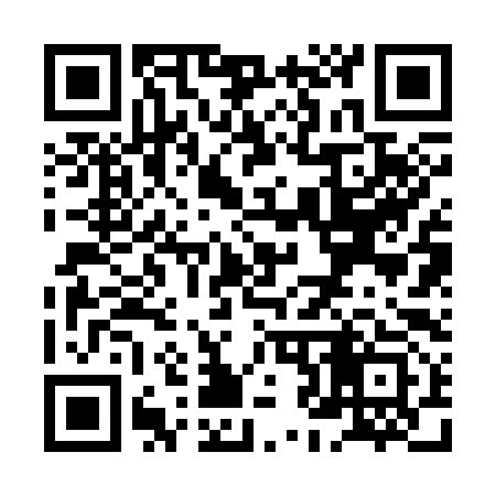 QR code for XJ2393