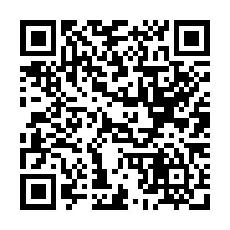 QR code for XJ6385