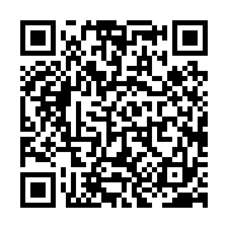 QR code for XK0233