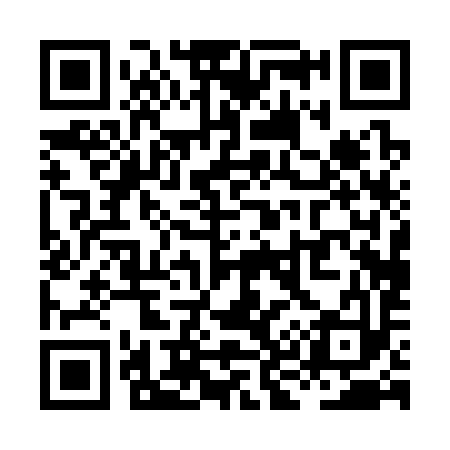 QR code for XK0393