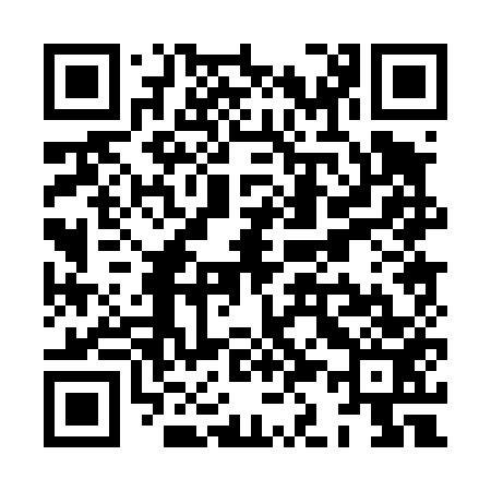 QR code for XK0453
