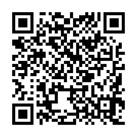 QR code for XL9095