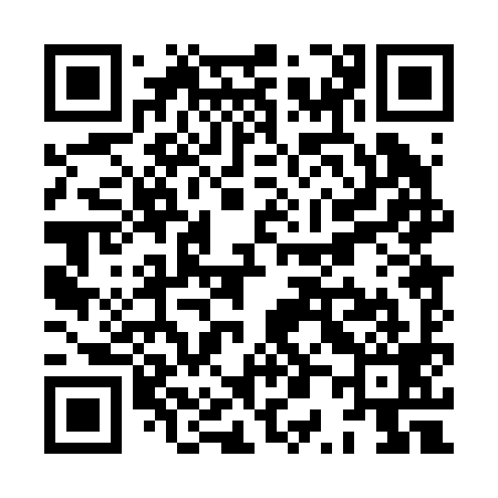 QR code for XP0299