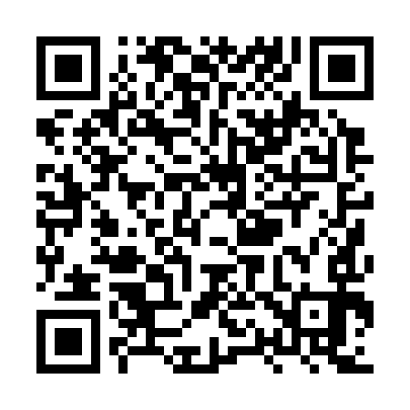 QR code for XQ0393