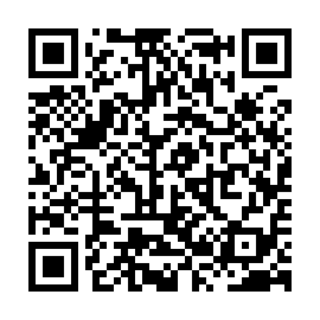 QR code for XR3919