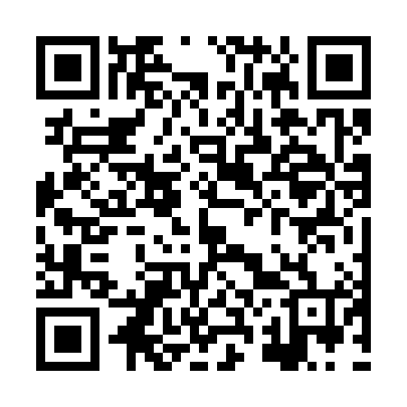 QR code for XR6384
