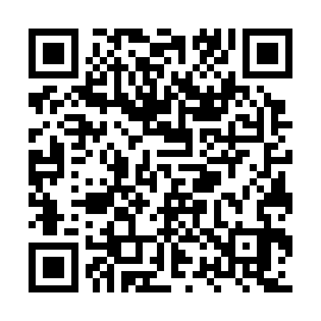 QR code for XR7333