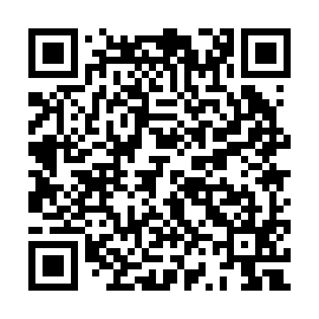 QR code for XV1295