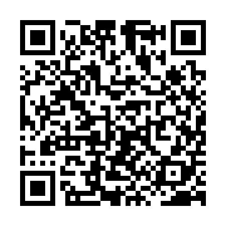 QR code for XV1308