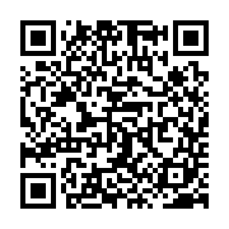 QR code for XV3341