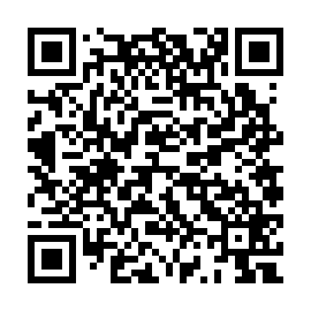 QR code for XV6369