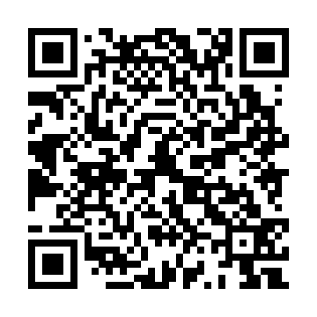 QR code for XV8333