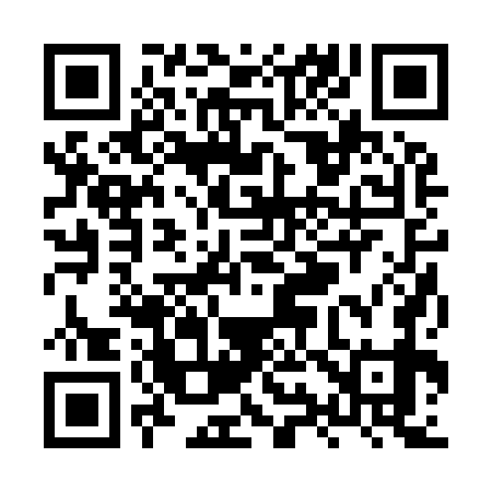 QR code for XY2979