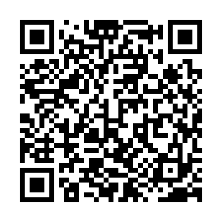 QR code for XY9333