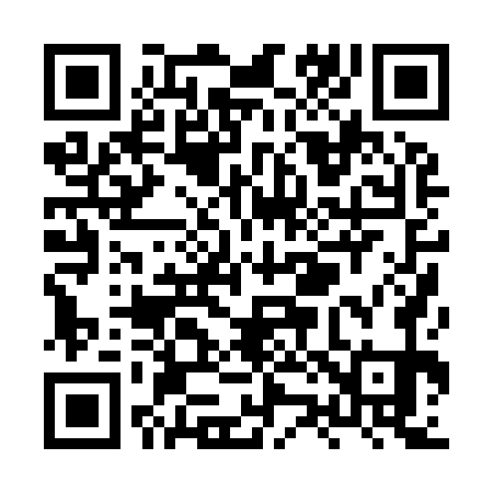 QR code for XZ0971
