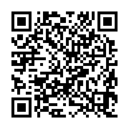 QR code for XZ3391