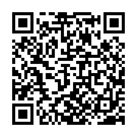 QR code for XZ4113