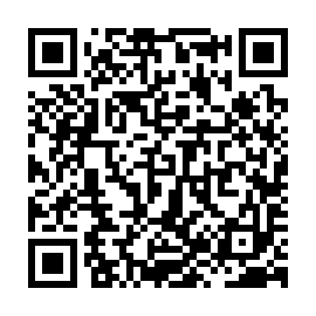 QR code for XZ6393