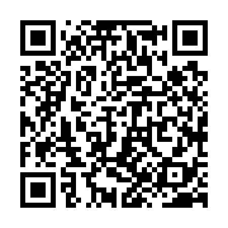 QR code for XZ8738