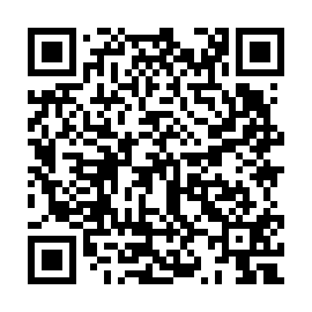 QR code for XZ9611