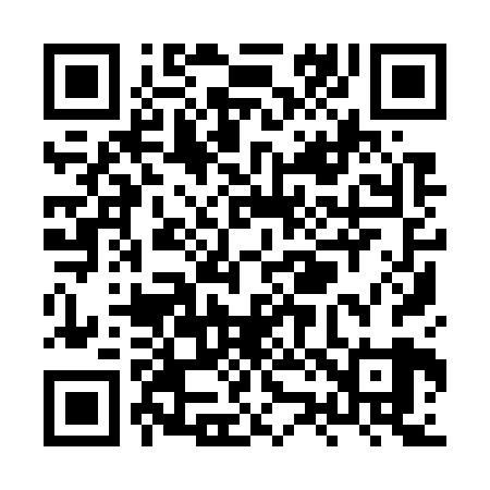 QR code for XZ9729