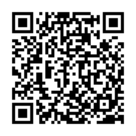 QR code for XZ9995