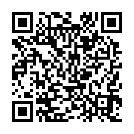 QR code for YD0313