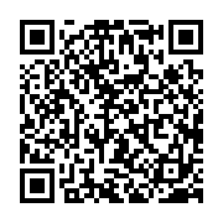 QR code for YD0333