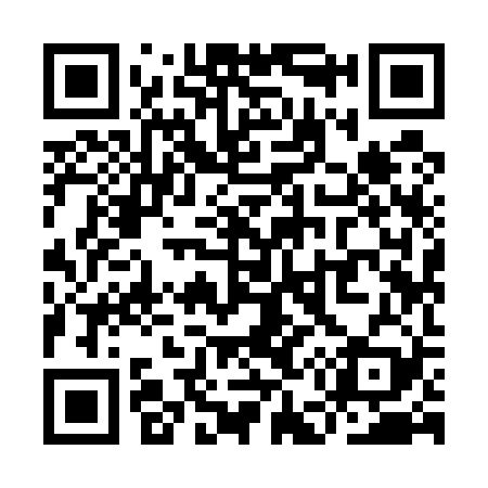 QR code for YE9529