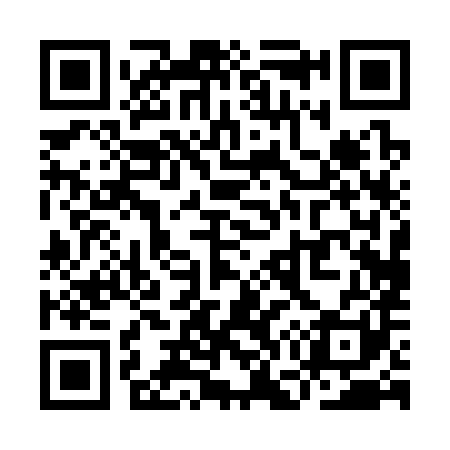 QR code for YG0381