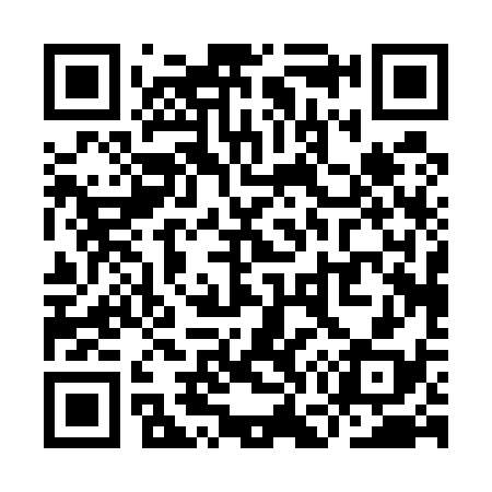QR code for YG0538