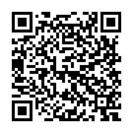 QR code for YG2951