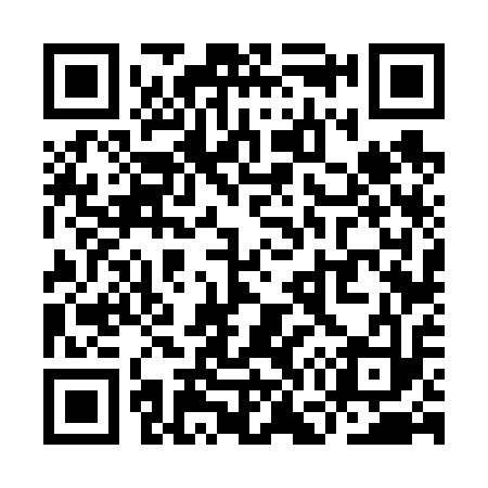 QR code for YG6613
