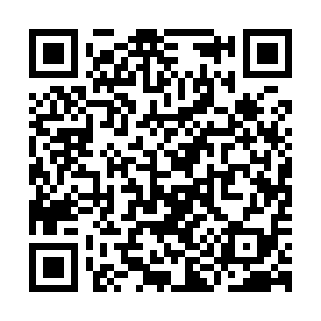 QR code for YI1919