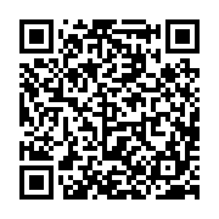 QR code for YJ0294