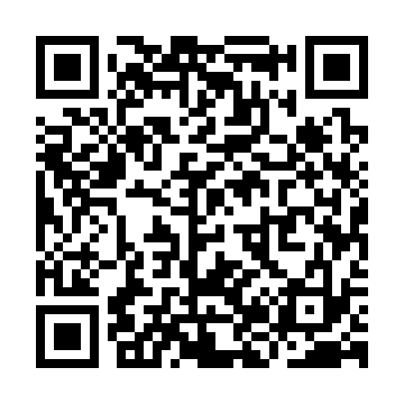 QR code for YJ5333