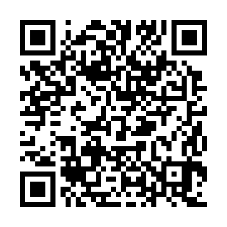 QR code for YL2383