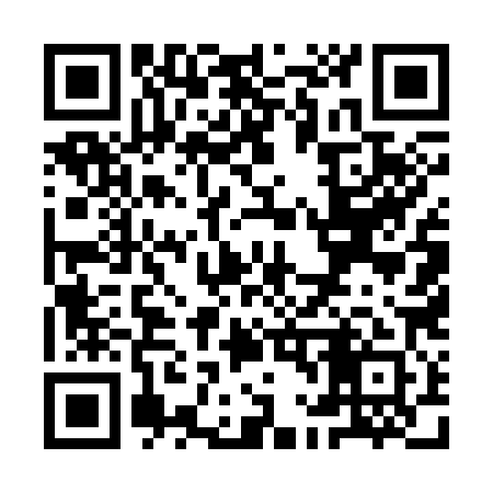 QR code for YL5381
