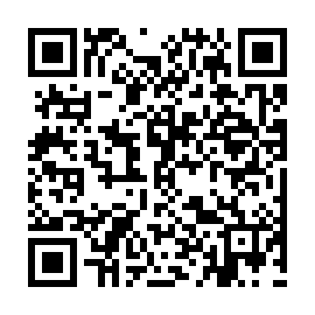 QR code for YL6386