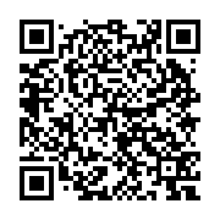 QR code for YL9273