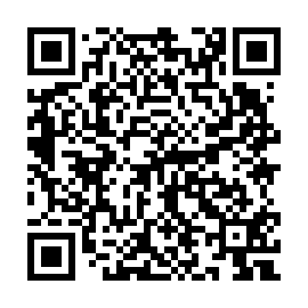 QR code for YL9611