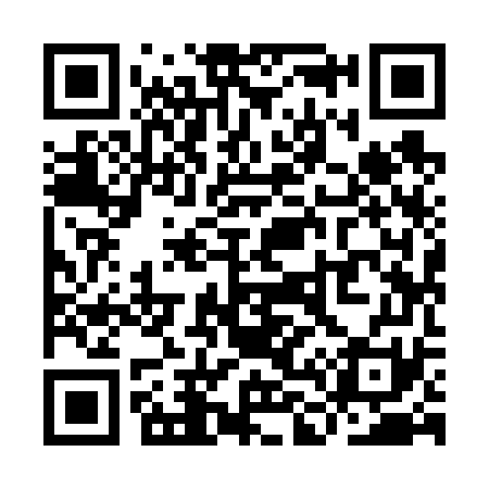 QR code for YL9671