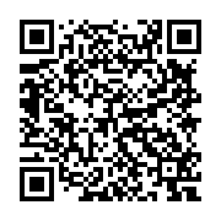 QR code for YL9813