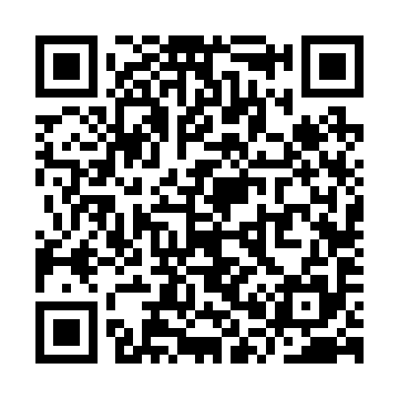 QR code for YP6295