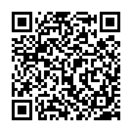 QR code for YP6594