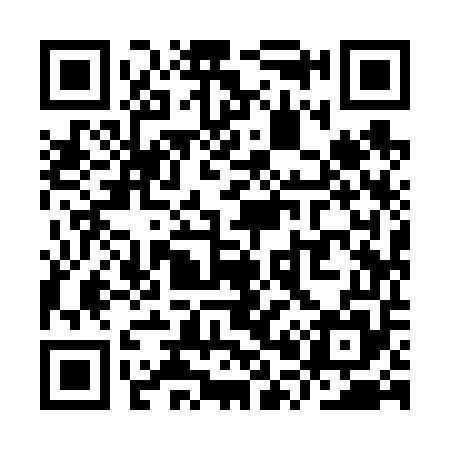 QR code for YP9655