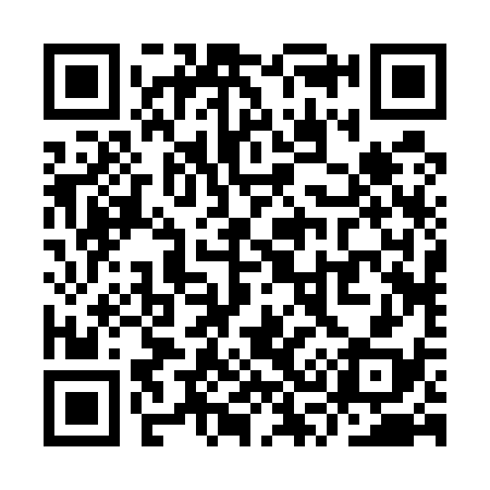QR code for YS2538