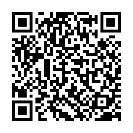 QR code for YS3809
