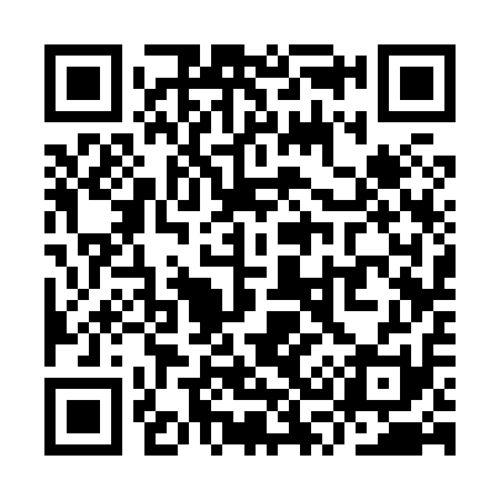 QR code for YS3811
