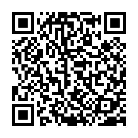 QR code for YS5009